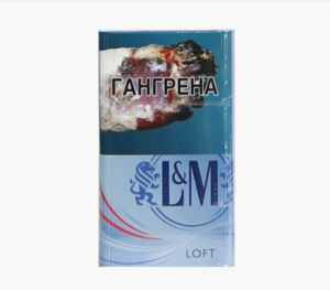 LM Loft Sea Blue