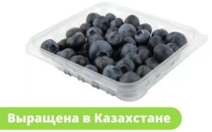 GO голубика Казахстан 125 г